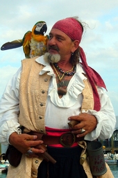 pirate n parrot Standard e-mail view.jpg