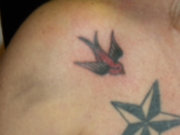 Traditional Sailor Tattoo "Swallow" each represents 5,000 miles at Sea