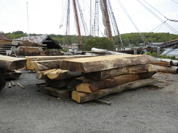 These are for futtocks which make up the "double sawn frames" for the restoration of the "Charles W. Morgan."