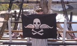 More information about "Mercury Flag over the Santa Maria"