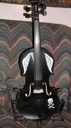 More information about "My new fiddle"