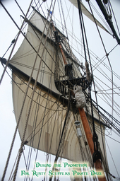 Lady Washington Sails
