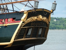 Bounty  067