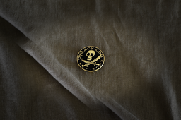 More information about "Limited Edition 20 Year Anniversary Gold Enamel Pin 1.25" Round"