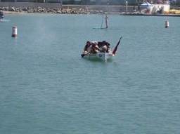 Dana Point Pirate fest 2014 027.jpg