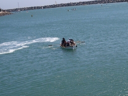 Dana Point Pirate fest 2014 065.jpg